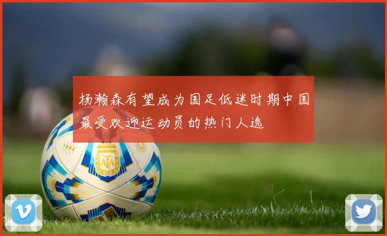 杨瀚森有望成为国足低迷时期中国最受欢迎运动员的热门人选
