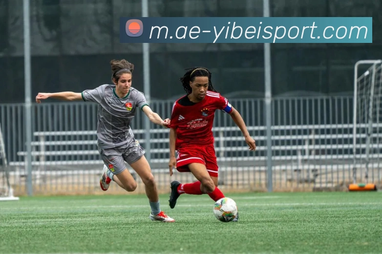 易倍体育APP 高清赛事图